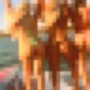 Photo de Iris à Nérac (44 ans) - plan cul gratuit