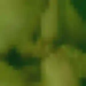 Sexy Rachida, 22 ans à Nîmes - la contacter