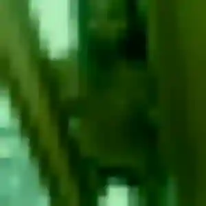 Belle Olivia, 35 ans à Noisiel - voir sa photo