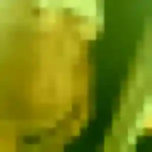 Marie-France, 29 ans, connectée à Noisy-le-Roi pour une rencontre coquine