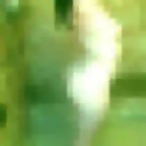 Photo perso de Anne-Charlotte, 45 ans à Noves - rencontre sans lendemain