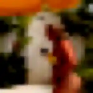 Photo sexy de Daniela, 34 ans à Pamiers - rencontre sans lendemain