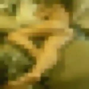 Photo sexy de Elvire, 42 ans à Papaichton - rencontre coquine