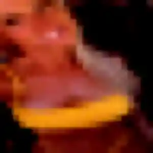 Alessandra, 39 ans, en ligne à Plouguerneau pour une rencontre coquine
