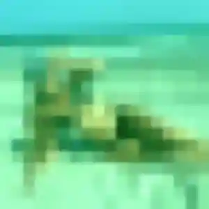 Photo de Alienor à Pornic (30 ans) - plan cul anonyme