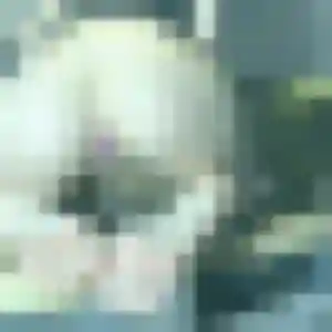 plan cul à Porto-Vecchio : photo de Edith, 32 ans - accès libre