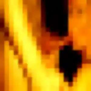 Photo de Zina à Quéven (42 ans) - plan cul gratuit