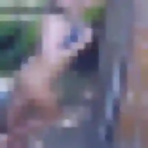 Photo de Severine à Rivière-Pilote (28 ans) - plan cul anonyme
