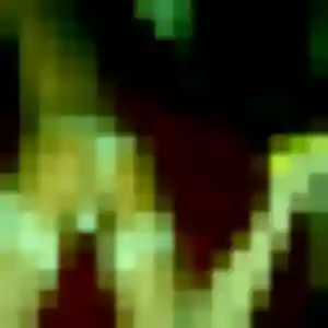 Photo de Fiona à Roost-Warendin (40 ans) - plan cul anonyme