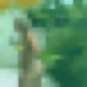 Profil de Noura à Royan (37 ans) - plan cul discret