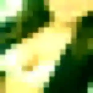 Photo privée de Laure, 23 ans à Saint-Cyr-sur-Mer - rencontre sans lendemain