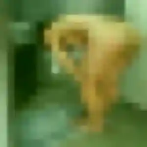 Alice, 31 ans, dispo pour plan cul à Saint-Jorioz