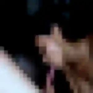 Lucie, 25 ans, dispo pour plan cul à Saint-Joseph