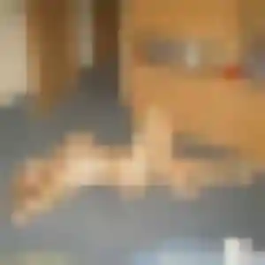 Sexy Solange, 19 ans à Saint-Just-Saint-Rambert - la contacter