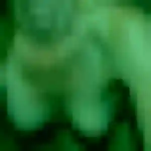 Découvre Josephine, 24 ans à Saint-Martin-d'Hères en privé
