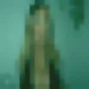 Photo de Patricia à Saint-Nazaire (40 ans) - plan cul discret