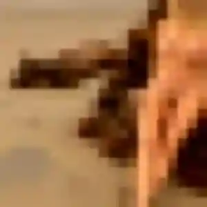 Anne-Marie, 21 ans, en ligne à Sainte-Adresse pour une rencontre coquine