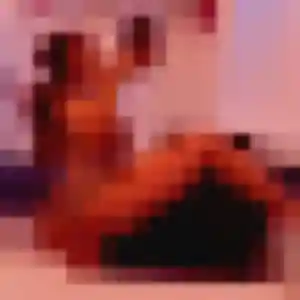 Sexy Priscilla, 33 ans à Saintes - voir sa photo