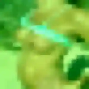 Charmante Gladys, 45 ans à Septèmes-les-Vallons - la contacter