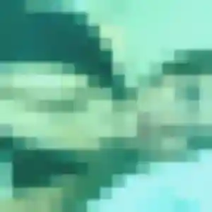 Sexy Delphine, 29 ans à Solliès-Toucas - découvrir son profil