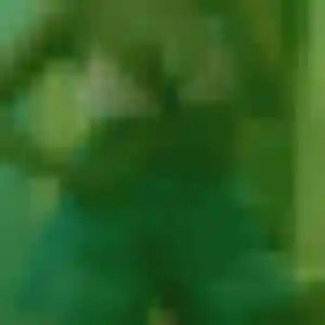 Photo exclusive de Rachel, 26 ans à Vaucresson - rencontre coquine