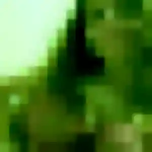 Adeline, 41 ans, disponible à Viarmes pour une rencontre coquine