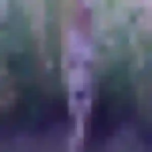 Cyrielle, 29 ans, dispo pour plan cul à Vidauban