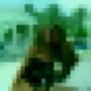 Photo perso de Ophelie, 26 ans à Villepinte - rencontre coquine