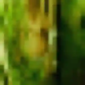 Charmante Olga, 39 ans à Viry-Châtillon - voir sa photo