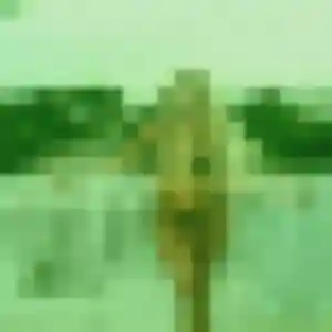 Photo perso de Brunehilde, 28 ans à Voiron - rencontre coquine