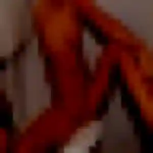 Contacte Corinne, 27 ans à Wasselonne en privé